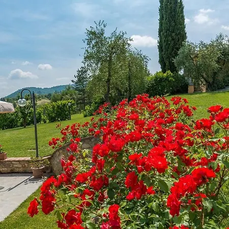 Al Solatio In Collina Con Piscina Villa *